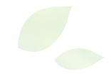 葉っぱ.png